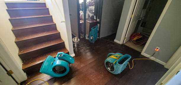 Best Professional water damage repair  in Peotone, IL