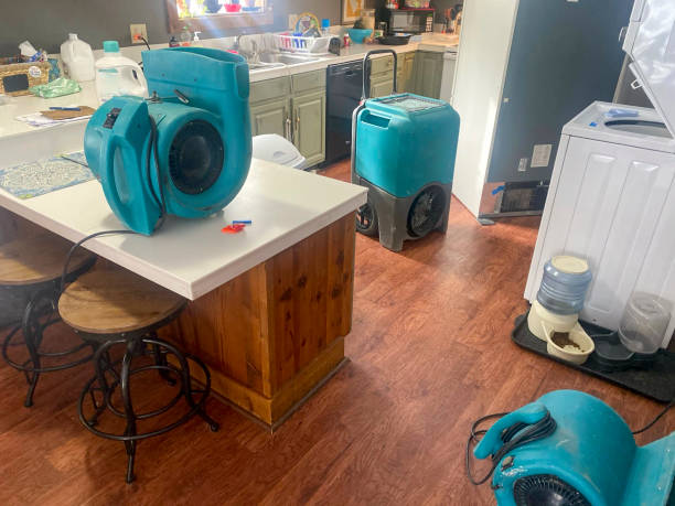 Water damage restoration experts in Peotone, IL