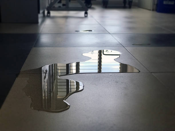 Best Local water damage restoration  in Peotone, IL
