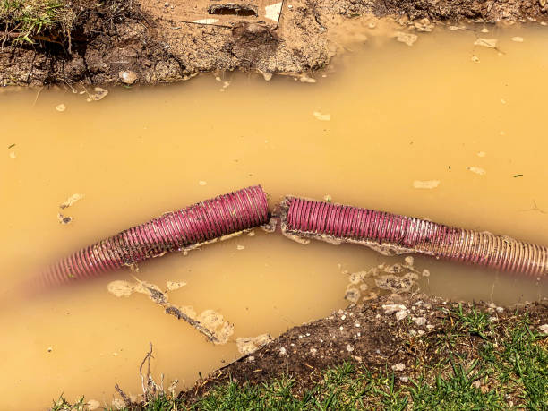 Water damage restoration experts in Peotone, IL