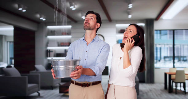 Peotone, IL Water damage restoration Company