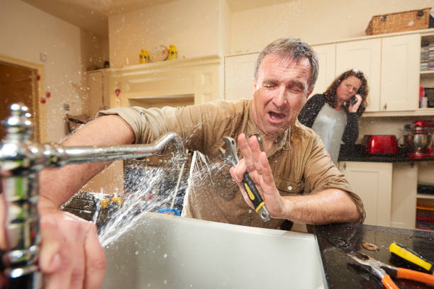 Best Basement water damage restoration  in Peotone, IL